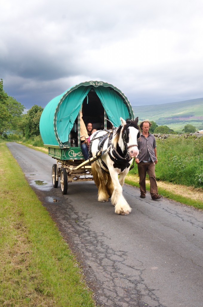 A horse drawn holiday