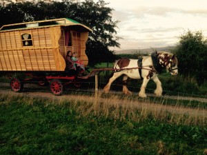 Katus and Madog on the road with our new wagon and Meg the new horse