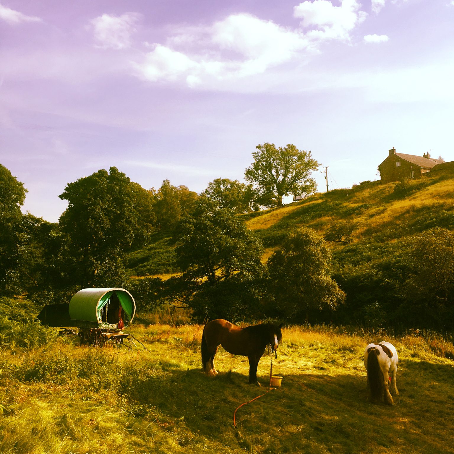 Wanderlusts Gypsy Caravans